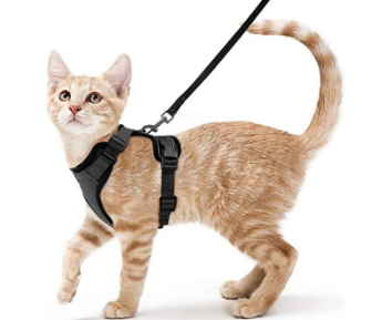 Pet collars, Harnesses & leashes